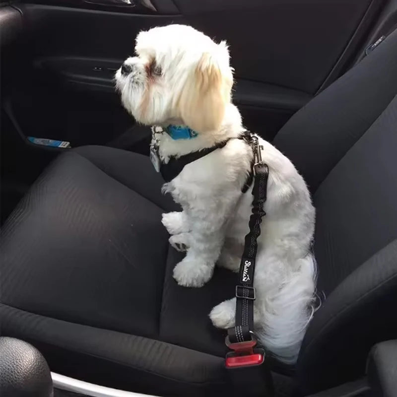 Hunde-Auto-Sicherheitsgurt, Hunde-Sicherheitsgurt mit Dämpfungsgurt und reflektierender Linie, verstellbare Länge, geeignet für jeden Hund